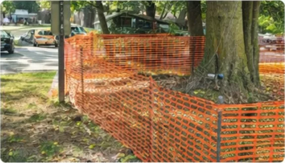 Construction protection zones and root care planning.